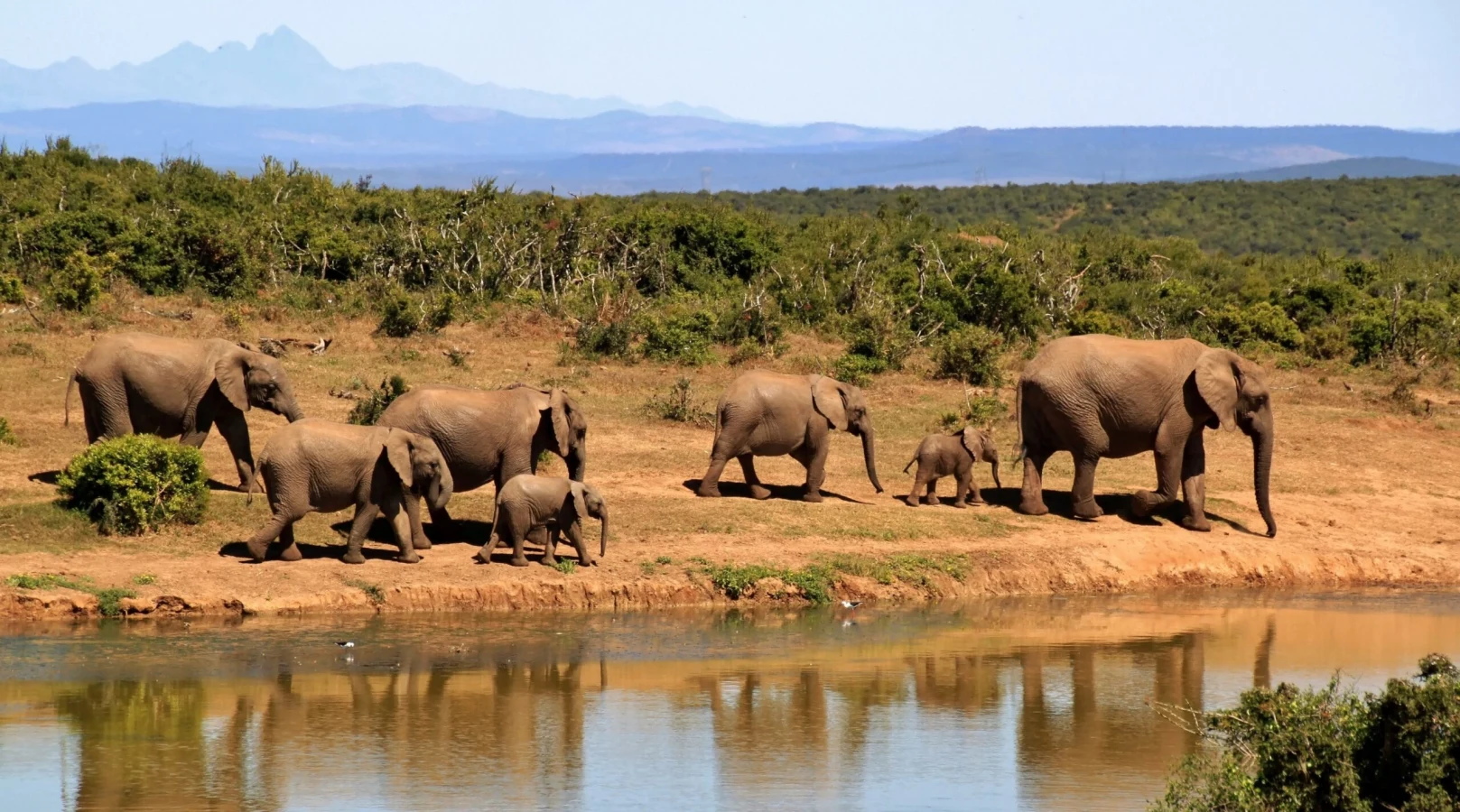 Parc national de Boma, Soudan du Sud