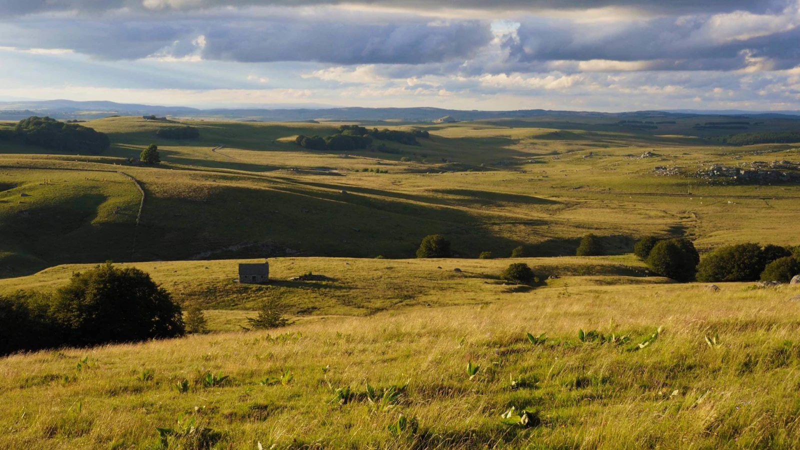 Aubrac, France, France