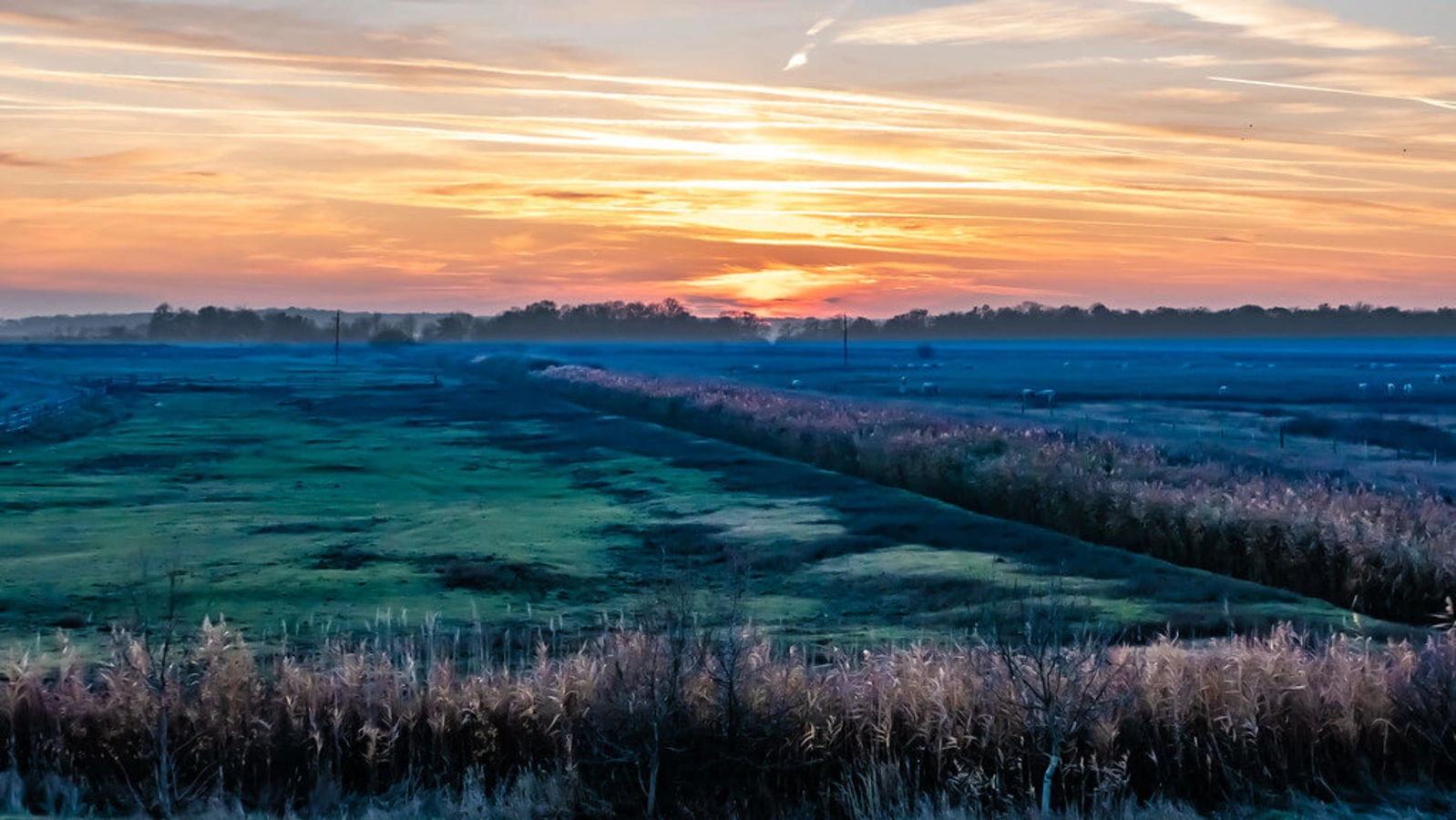 Parc national Hortobagyi, Hongrie