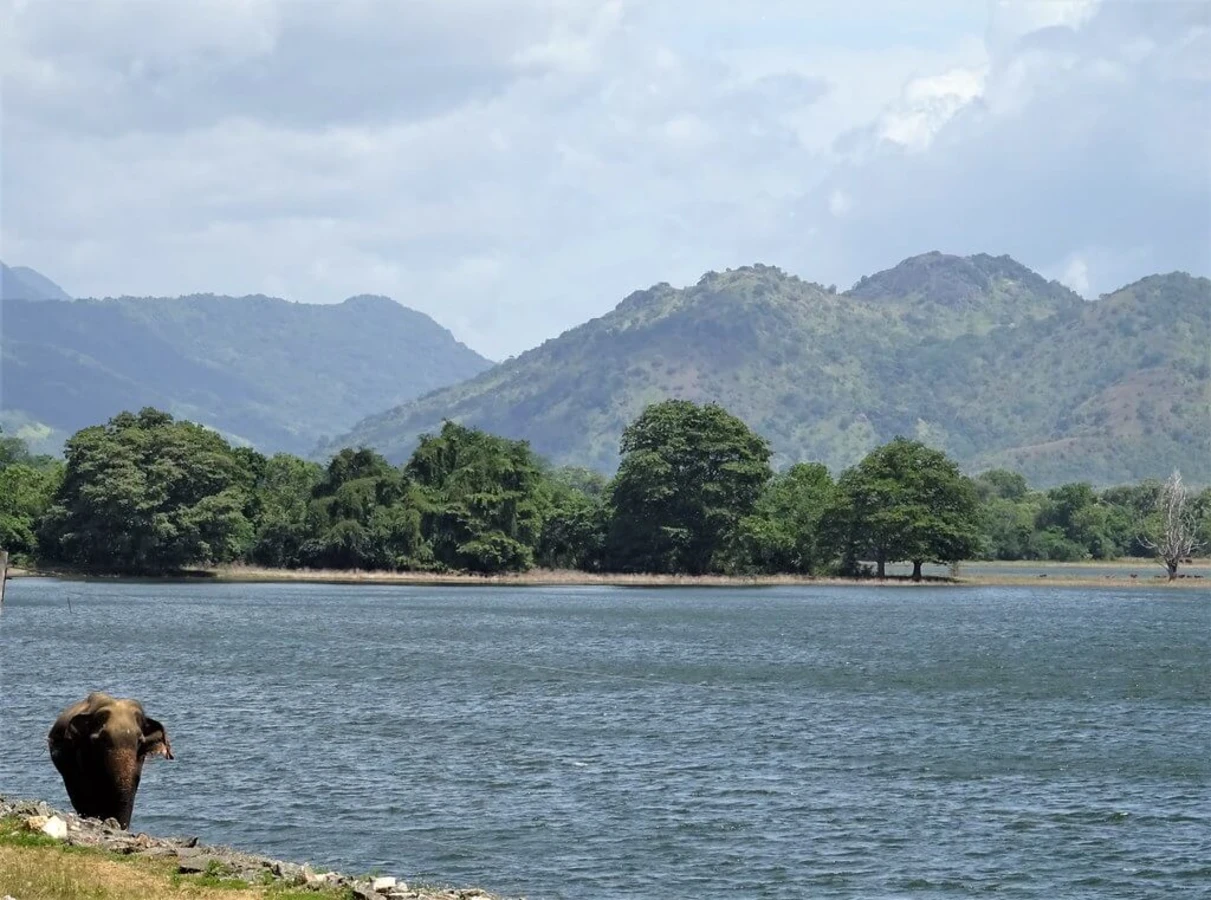 Parc national d'Uda Walawe, Sri Lanka, Sri Lanka