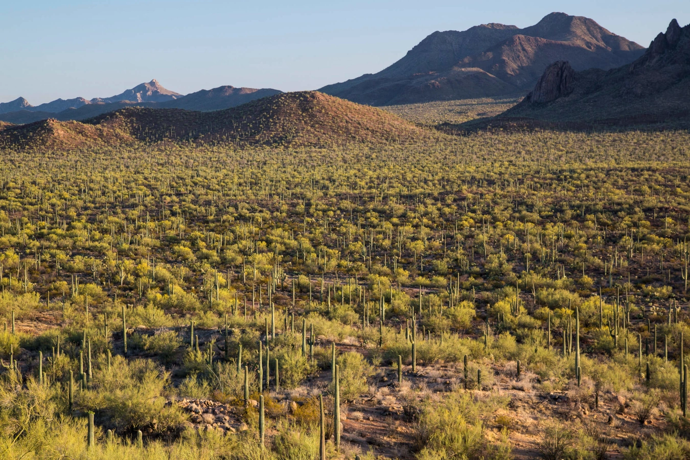 Ironwood Forest National Monument, États-Unis, États-Unis, Mexique, Mexique