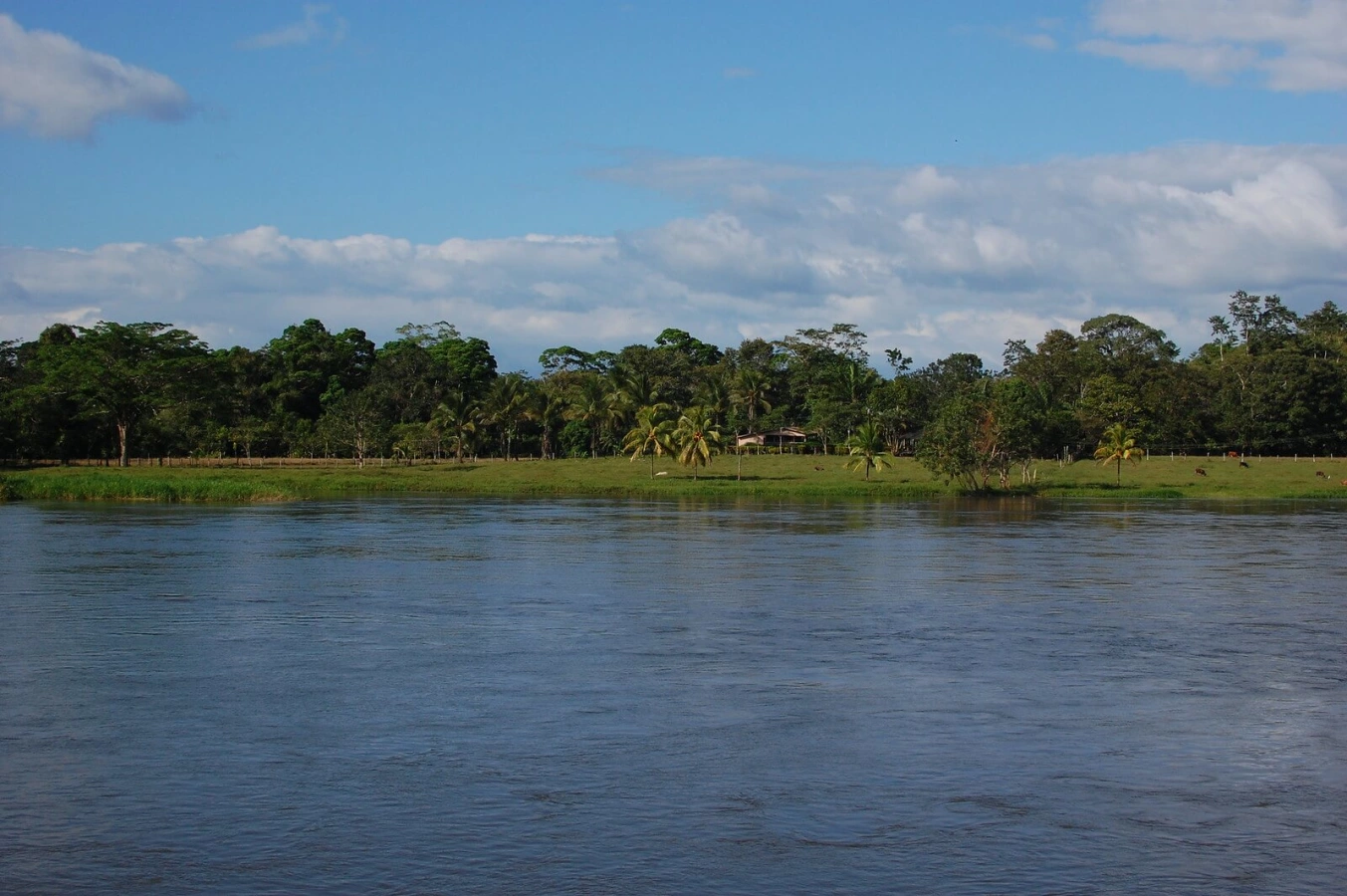 Réserve biologique Indio Maiz, Nicaragua