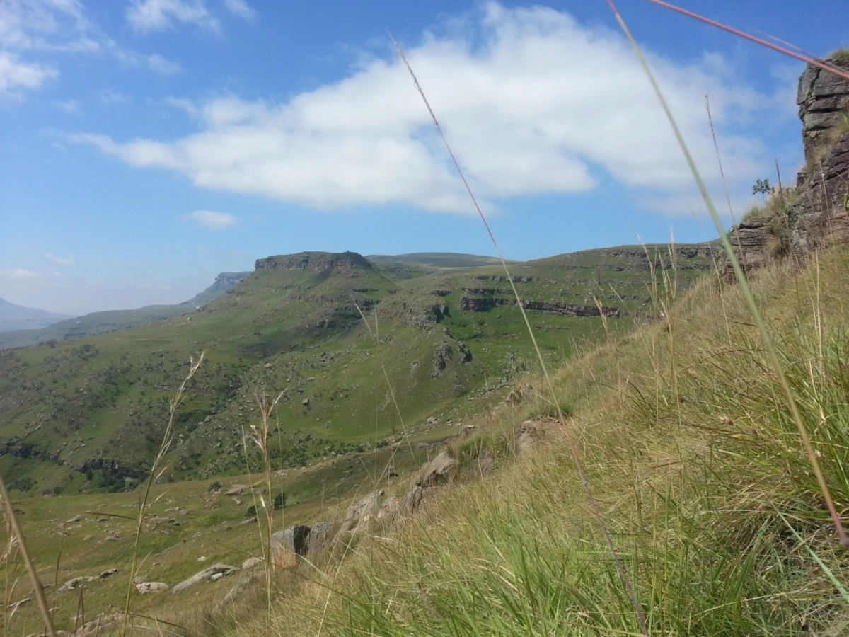 Kamberg Nature Reserve, Afrique du Sud