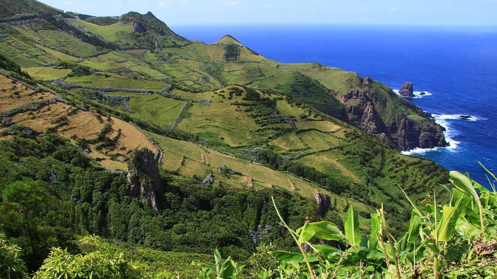 Flores (Açores), Portugal, Açores