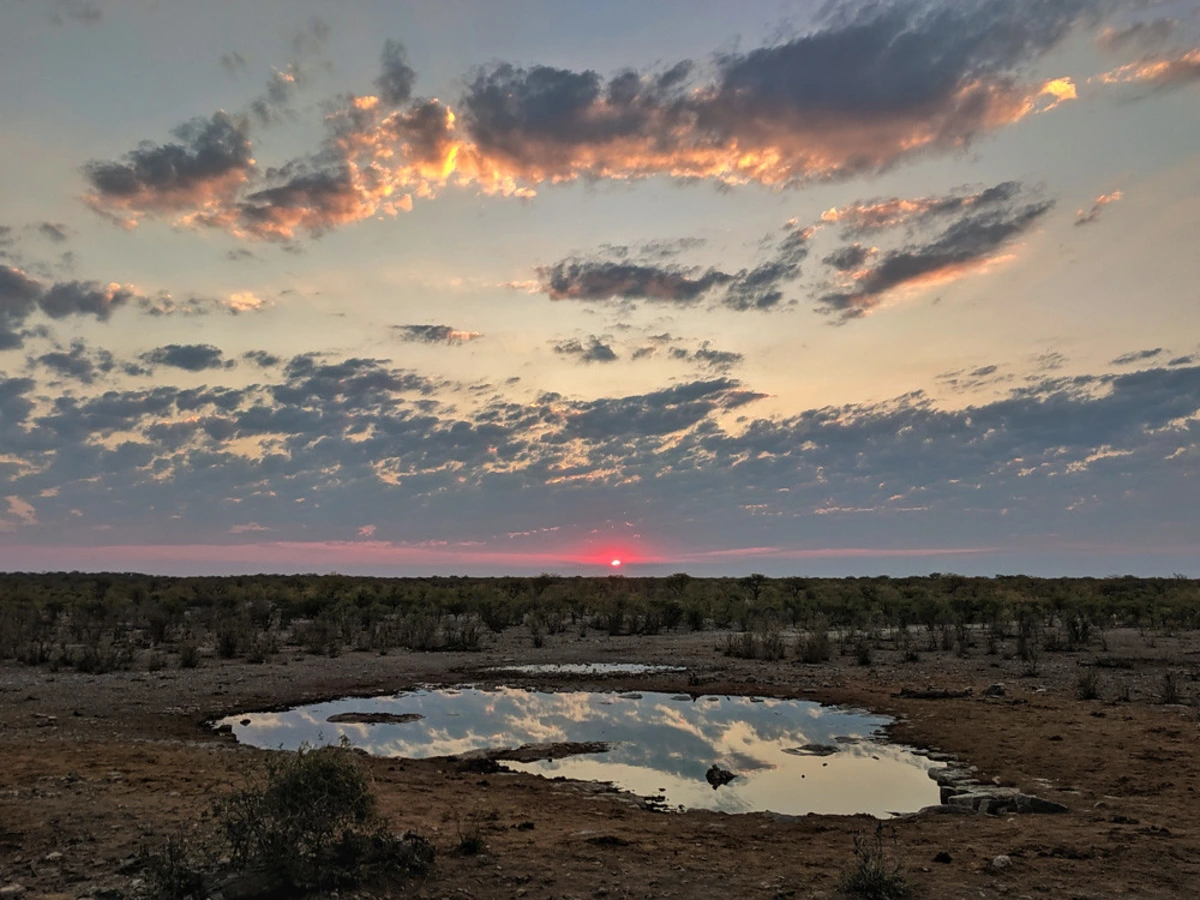 Moringa Waterhole, Namibie