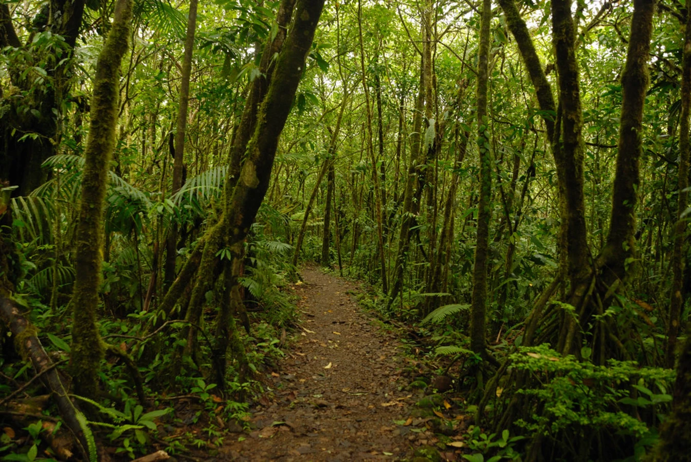 Parc national Volcan Tenorio, Costa Rica