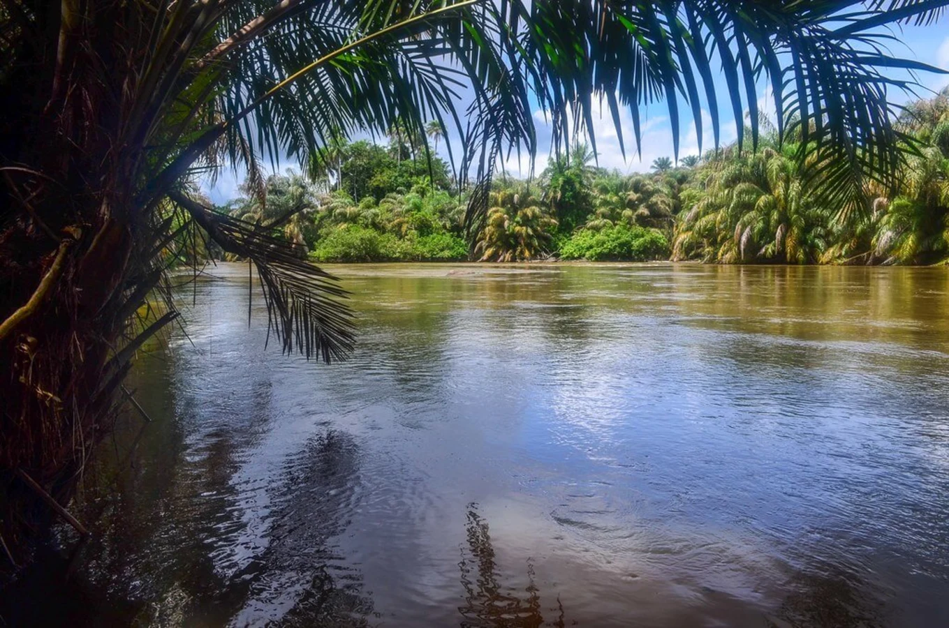 Île de Tiwai, Sierra Leone