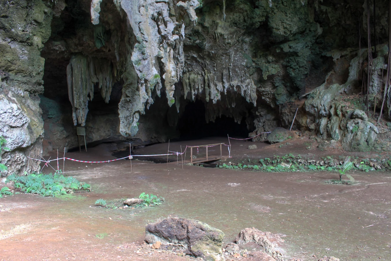 Grotte de la Reine Hortense, Nouvelle-Calédonie