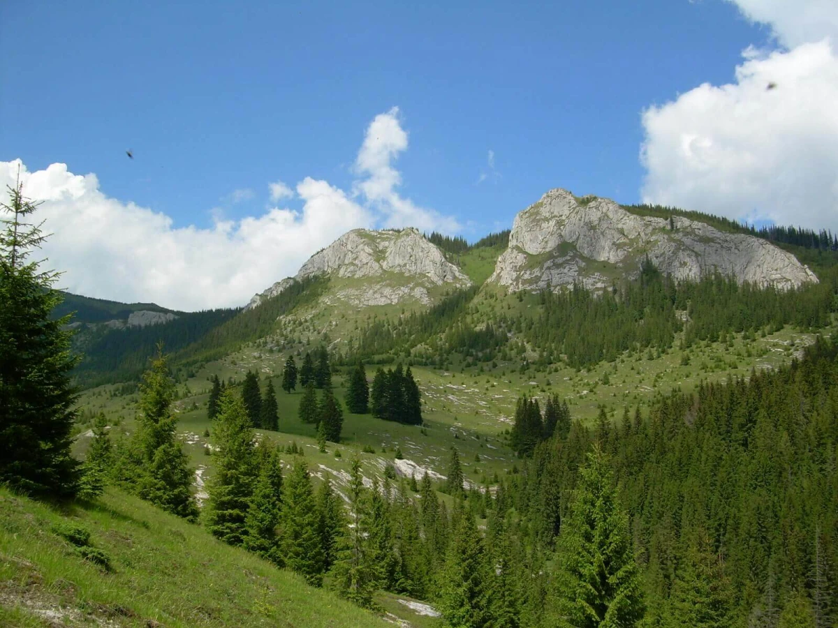 Monts Apuseni, Roumanie, Roumanie