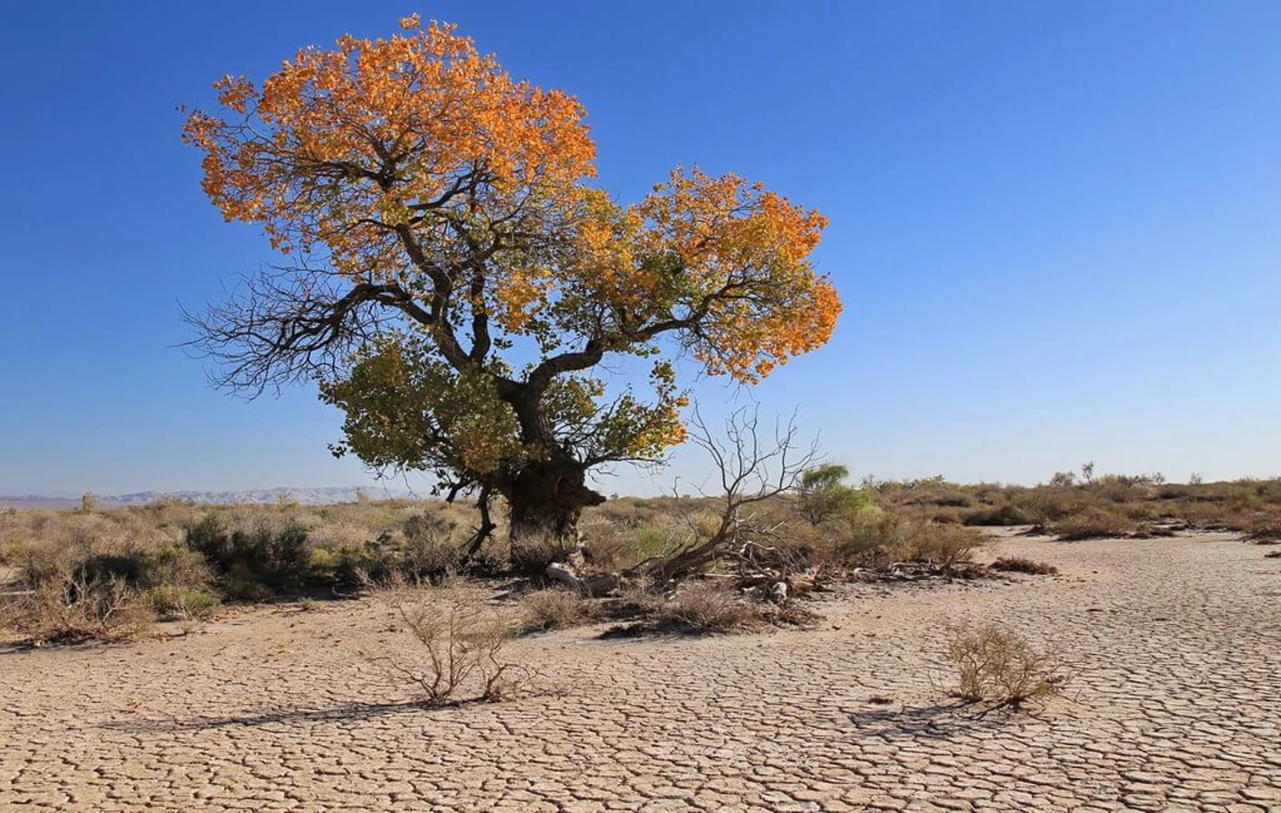 Parc national Altyn-Emel, Kazakhstan