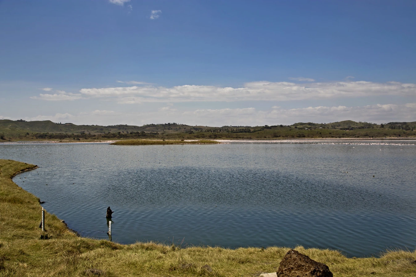 Lacs de Momella, Tanzanie
