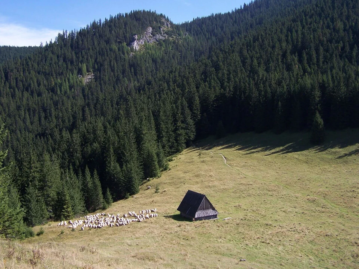 Tatras occidentales, Slovaquie, Pologne