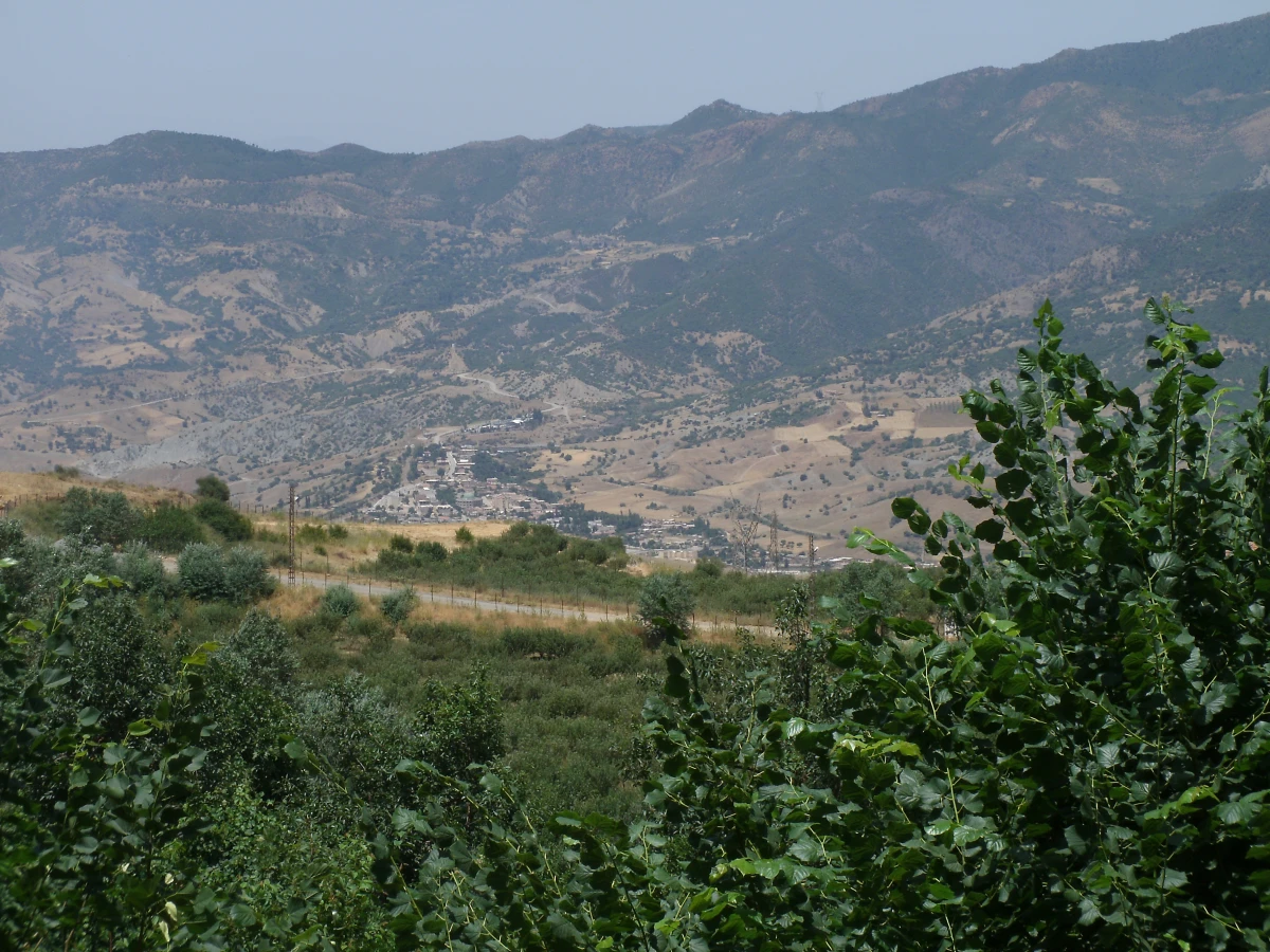Tamesguida, Algérie