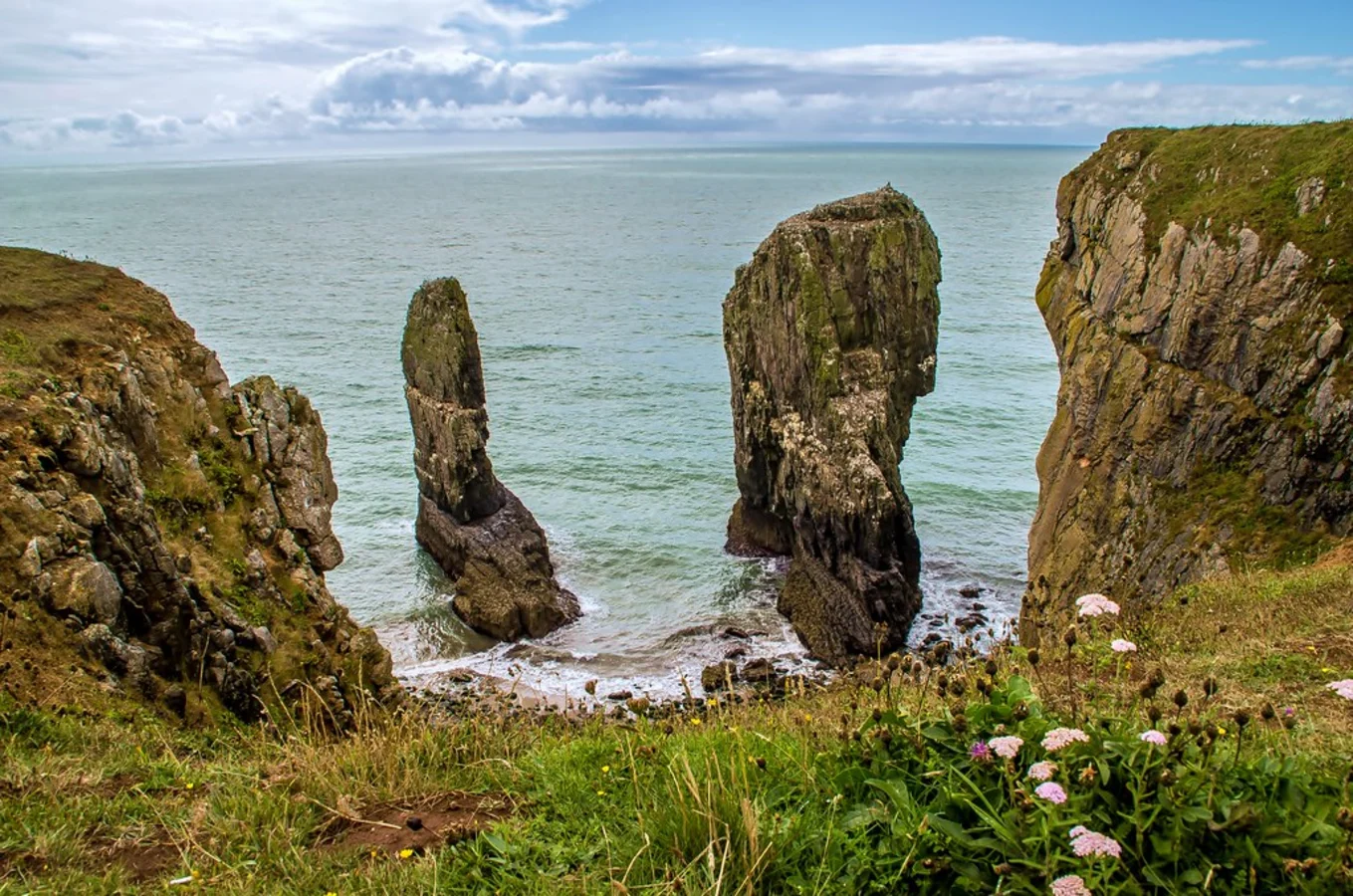 Elegug Stacks, Pays de Galles
