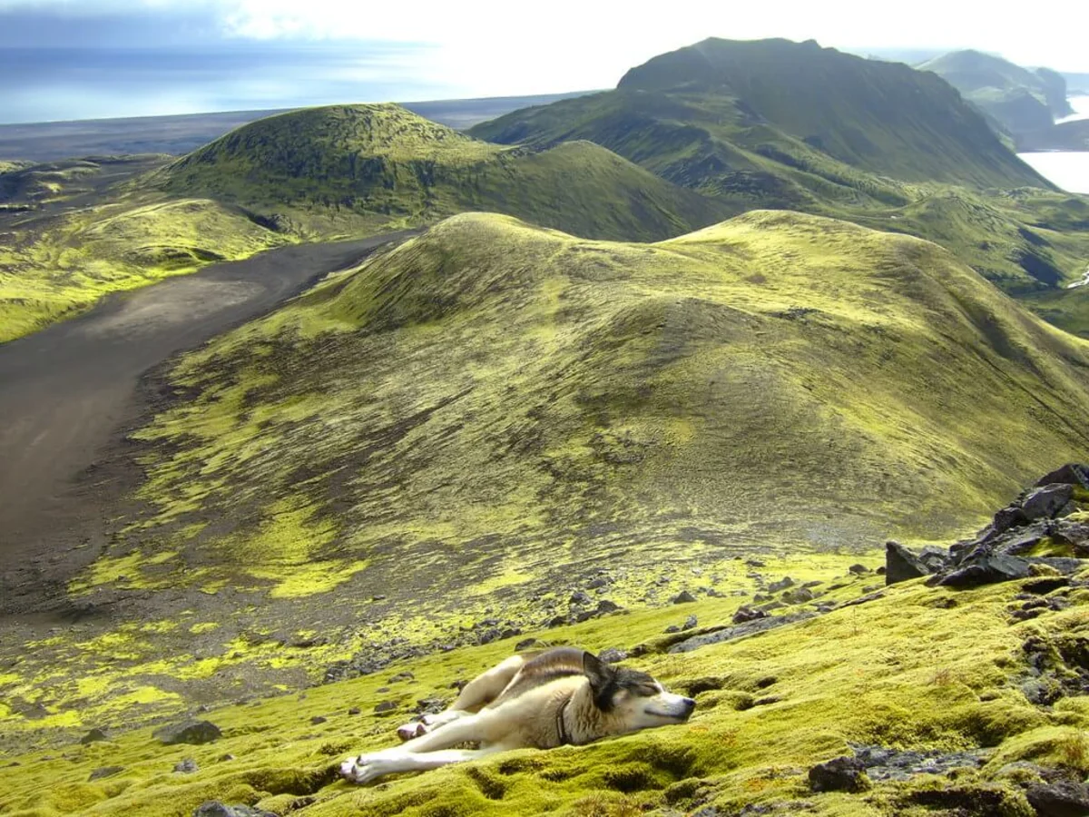 Jan Mayen, Svalbard et Jan Mayen