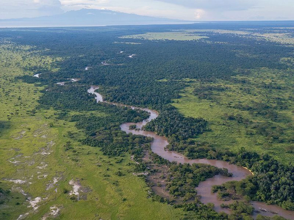 Ishasha River, Ouganda