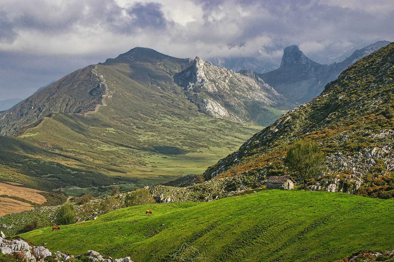 Tour des Pics d'Europe, Espagne