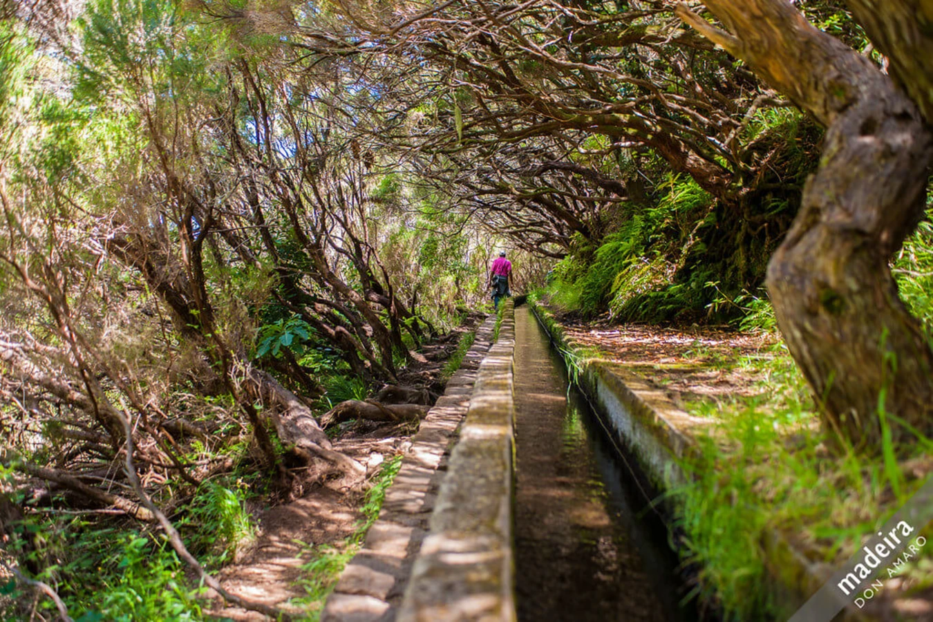 Levada das 25 Fontes, Portugal, Madère