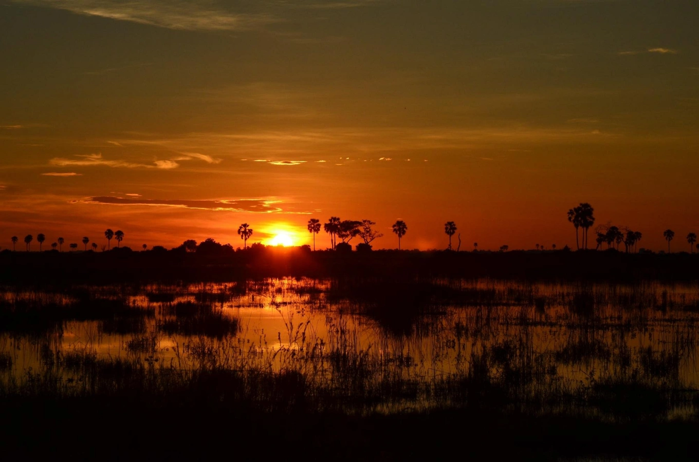 Selinda Game Reserve, Botswana