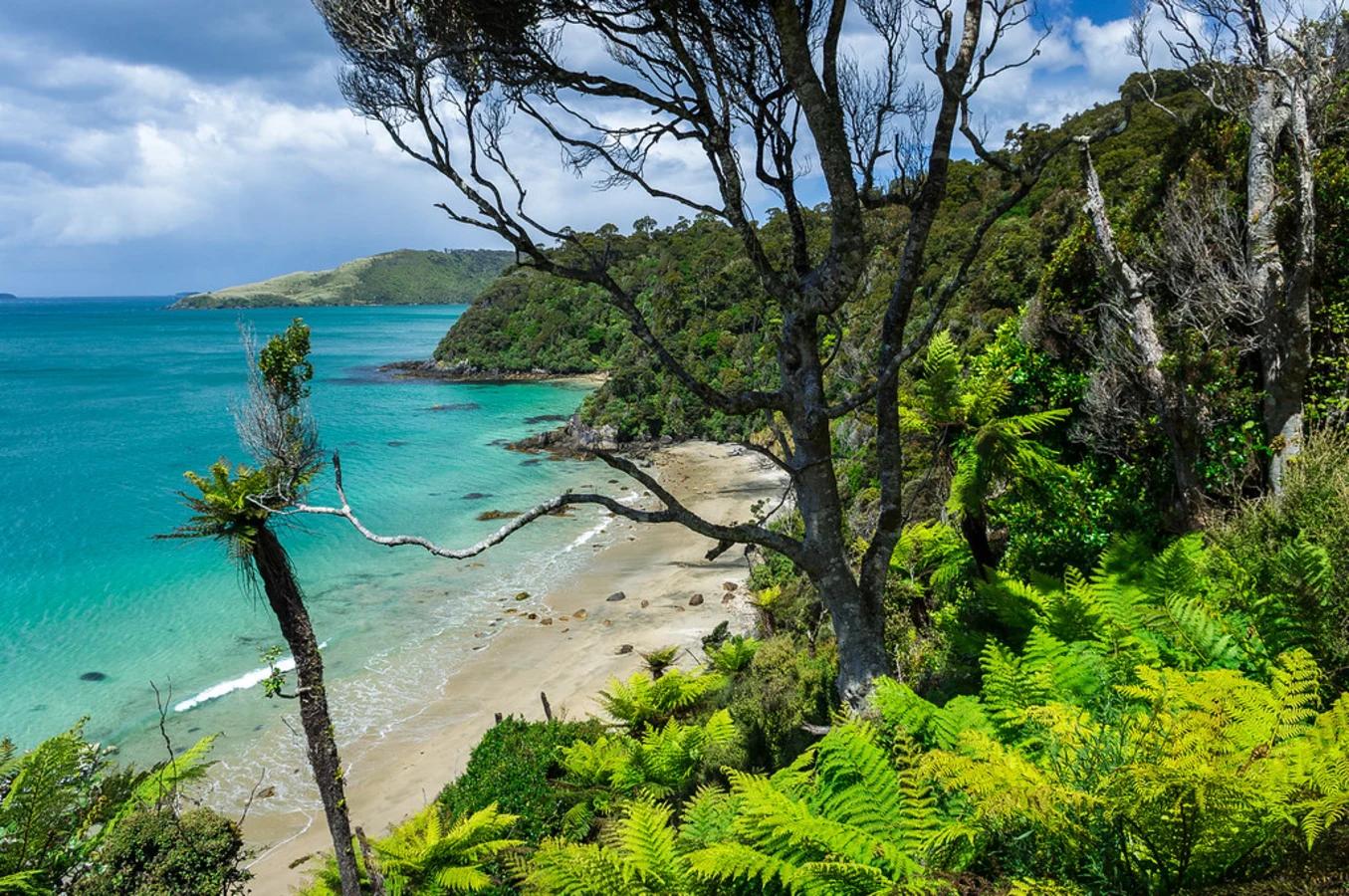 Rakiura Track, Nouvelle-Zélande