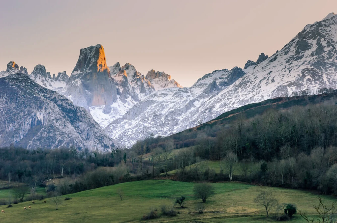 Naranjo de Bulnes, Espagne
