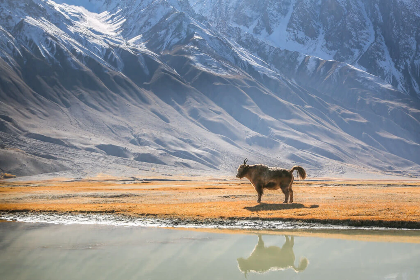 Vallée du Wakhan, Tadjikistan