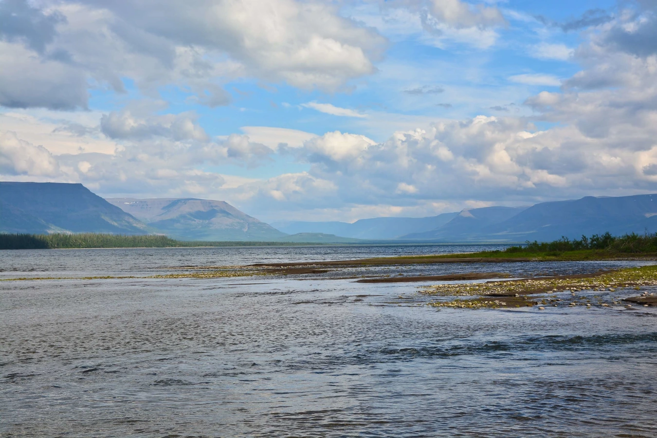 Péninsule de Taimyr, Russie