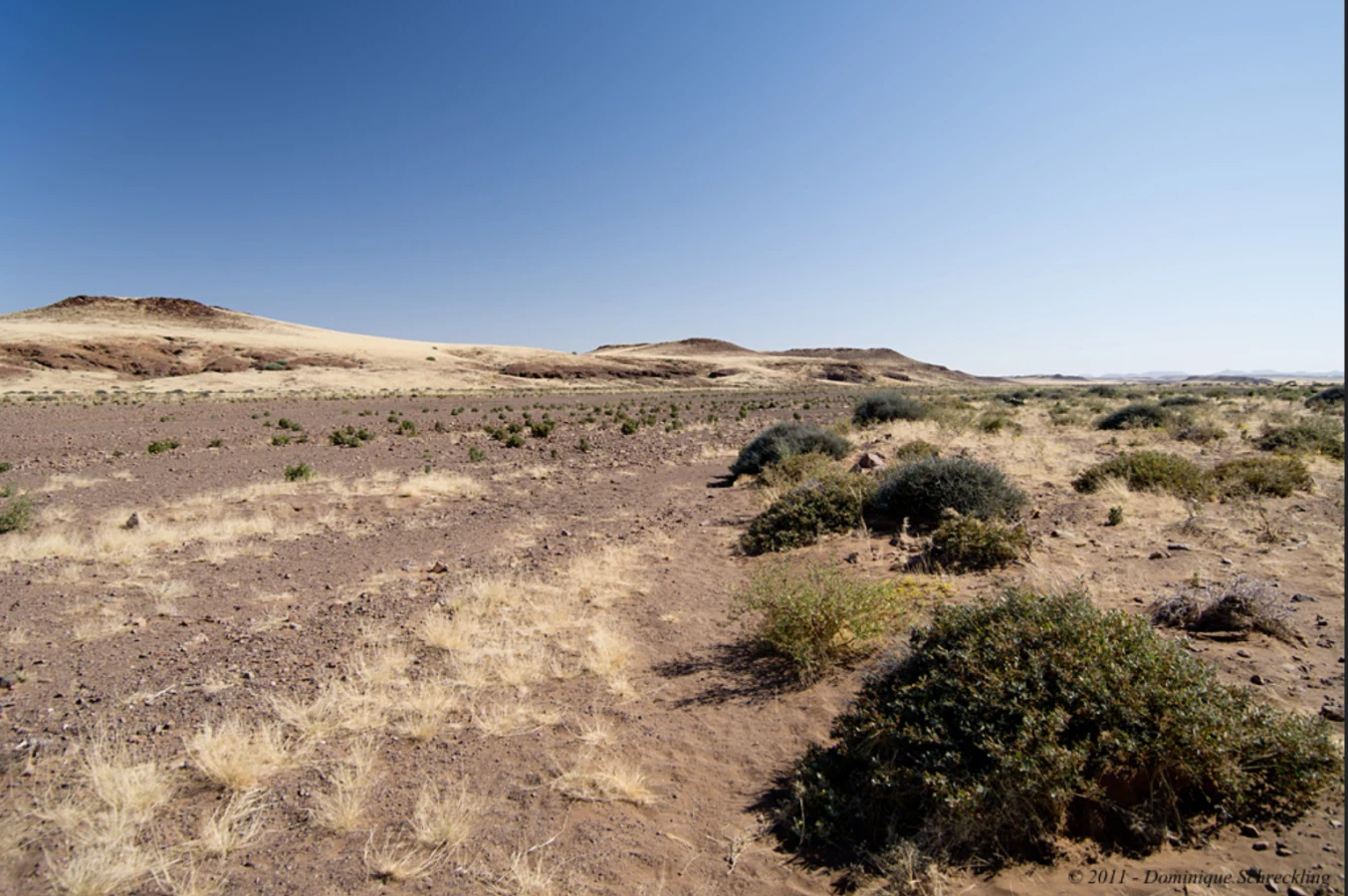 Crowther's 4x4 Trail, Namibie