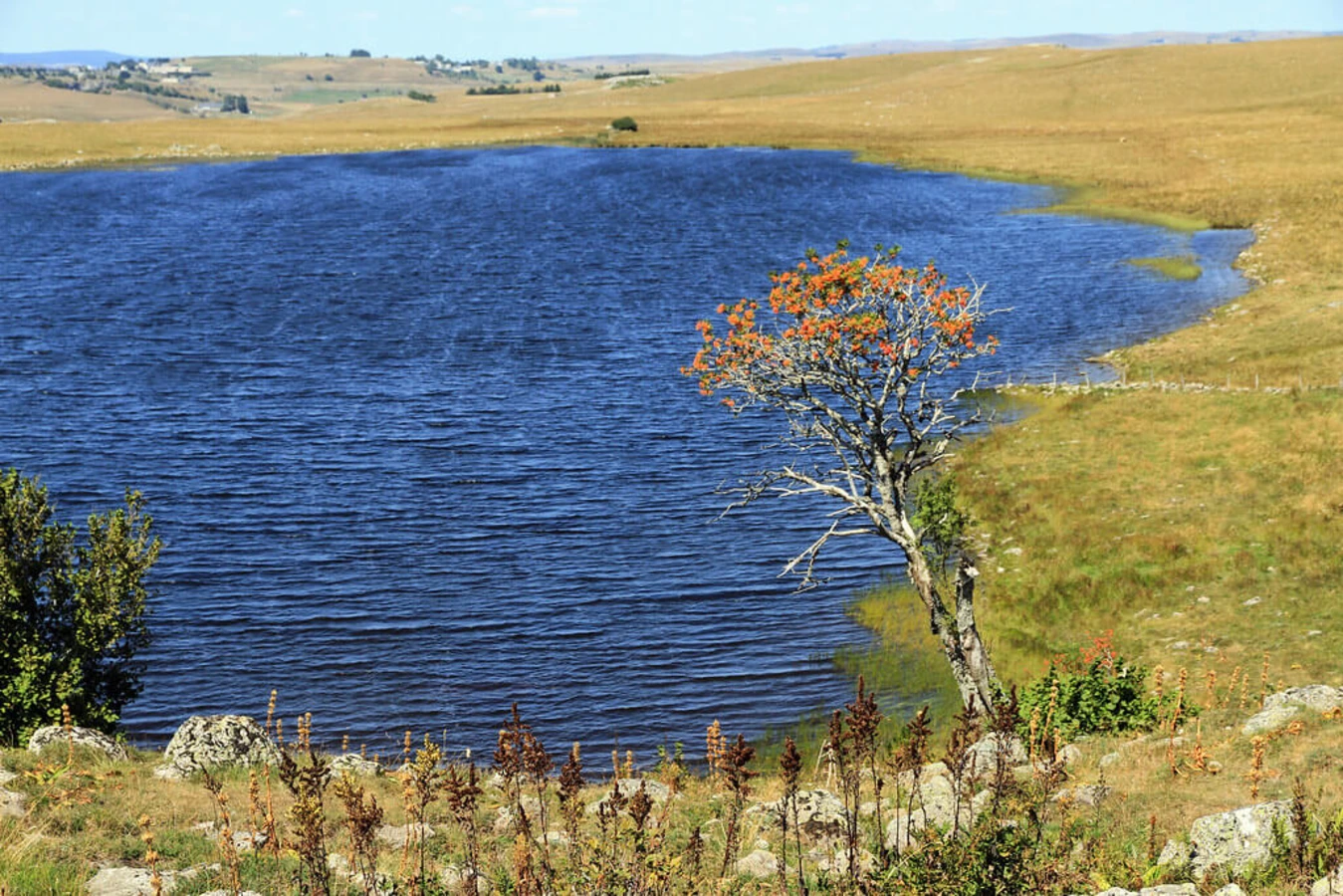 Aubrac, France, France