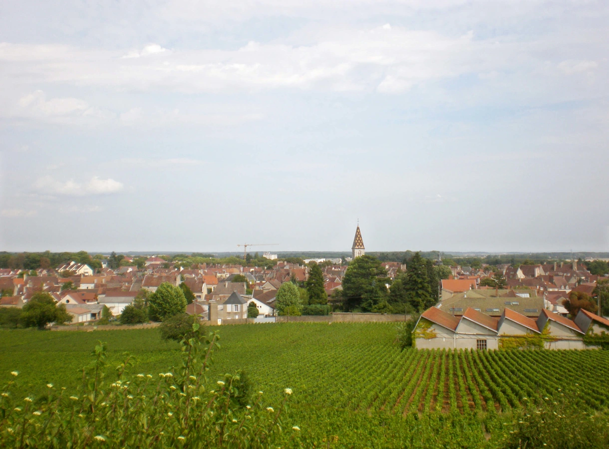 Nuits-Saint-Georges, France