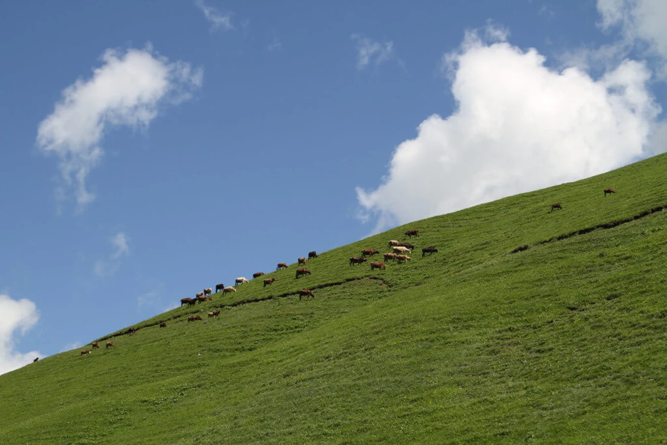 Parc national de Dilijan, Arménie