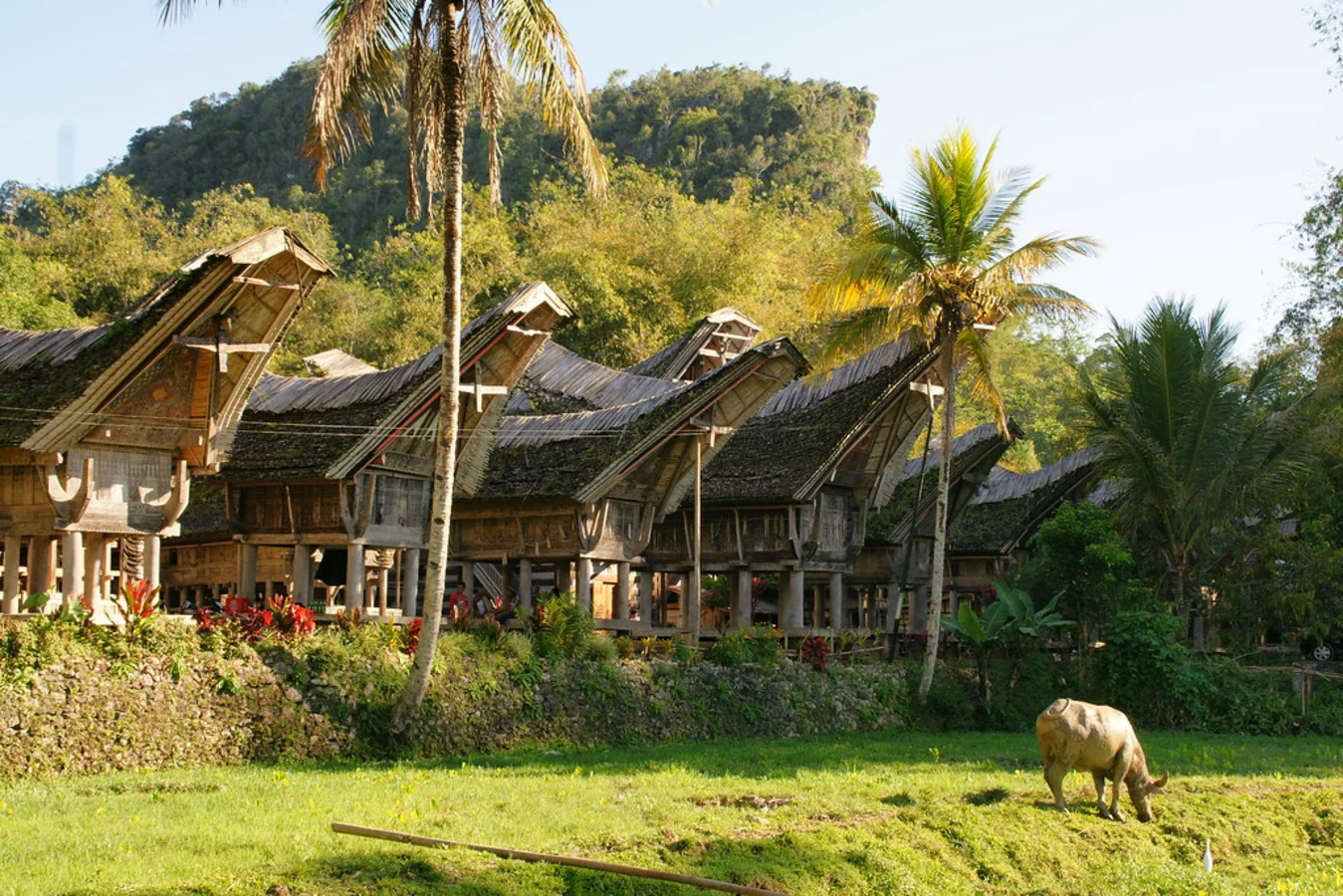 Pays Toraja, Indonésie