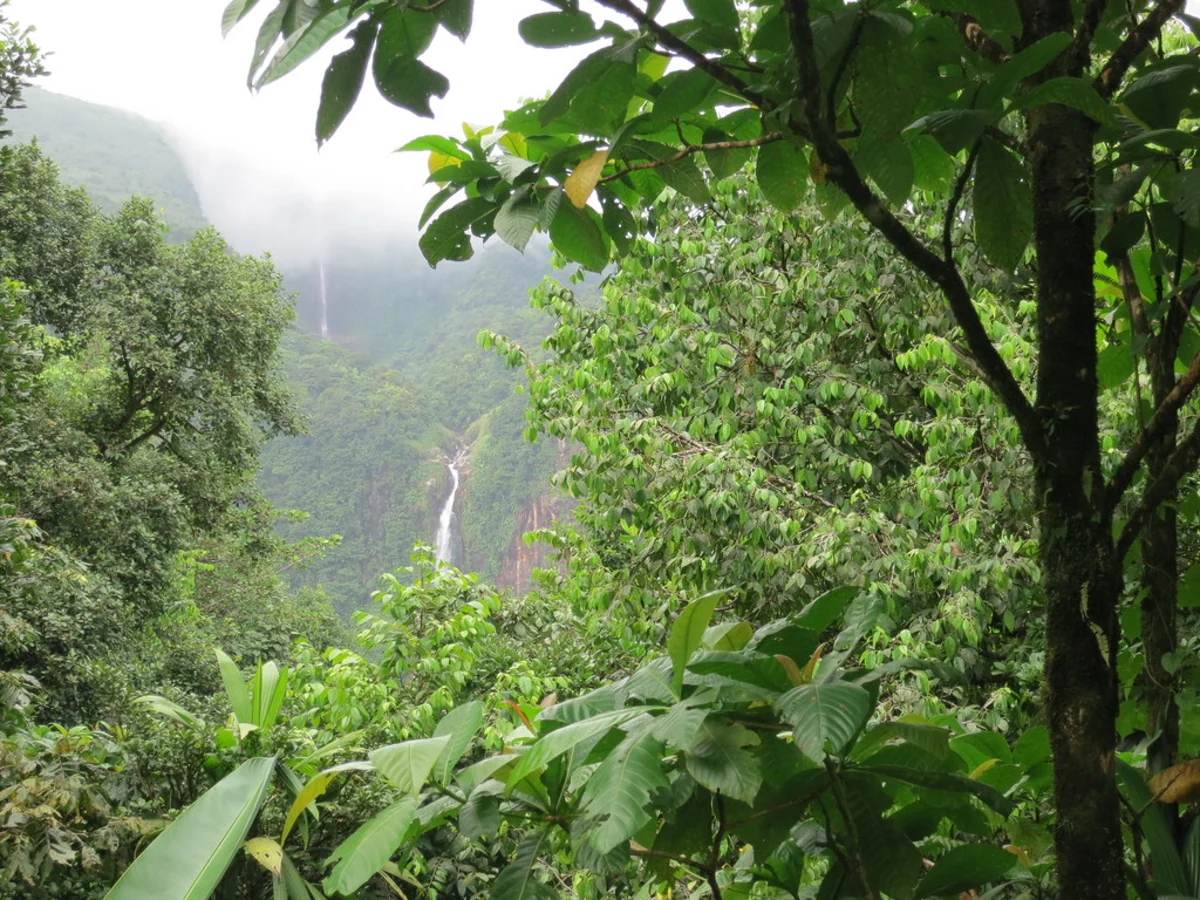 Chutes du Carbet, Guadeloupe