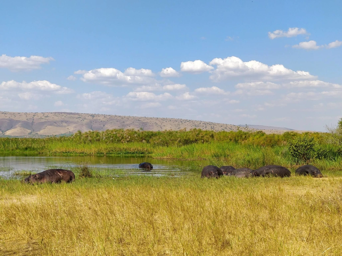 Parc national de l'Akagera, Rwanda