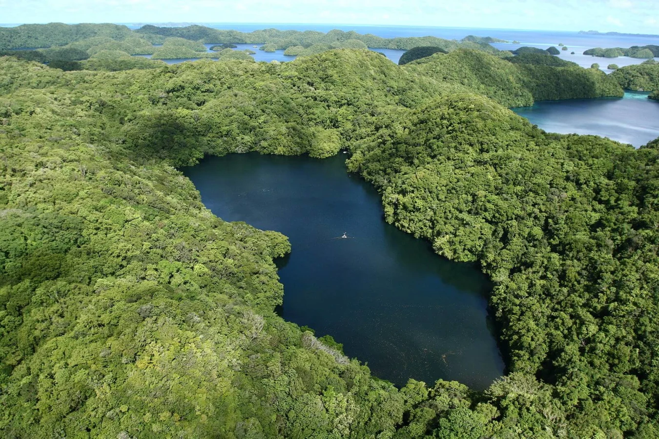 Lac aux Méduses, Palaos