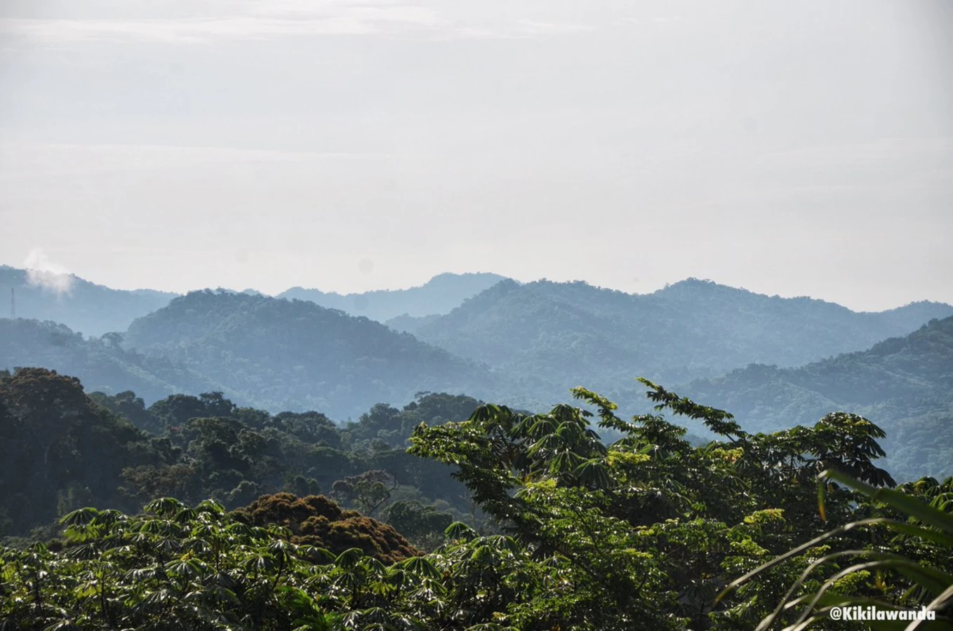 Réserve de la biosphère de Dimonika, République du Congo