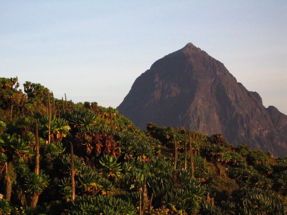 Mont Karisimbi, Rwanda