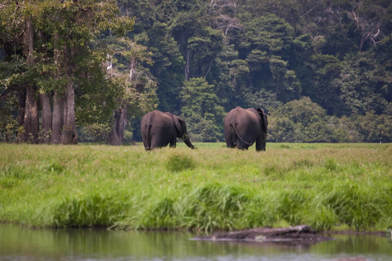 Parc national de Loango, Gabon