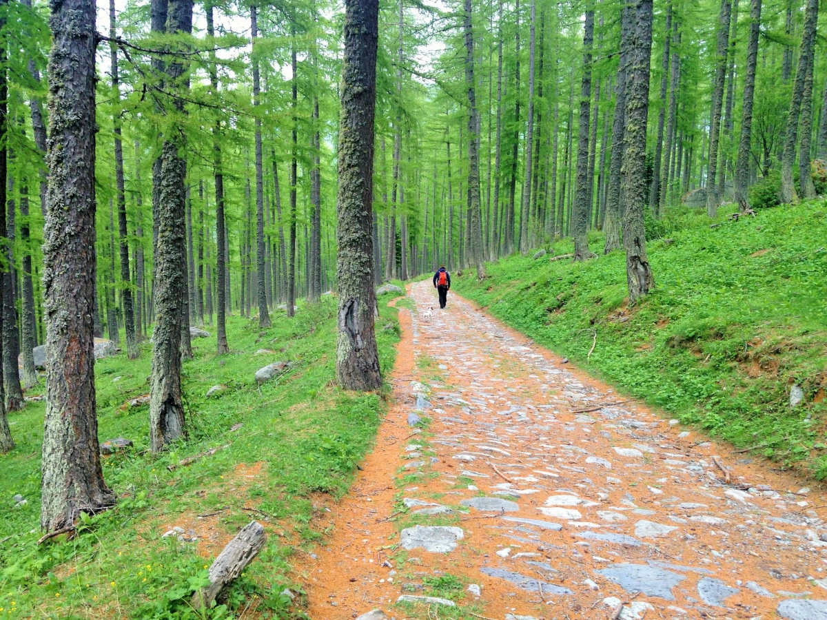 Vallée de Fontanalbe, France