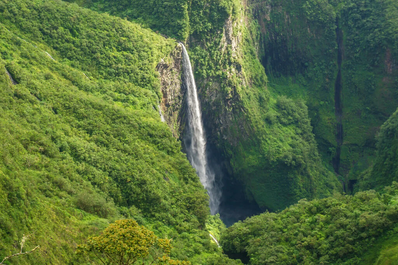 Trou de Fer, La Réunion