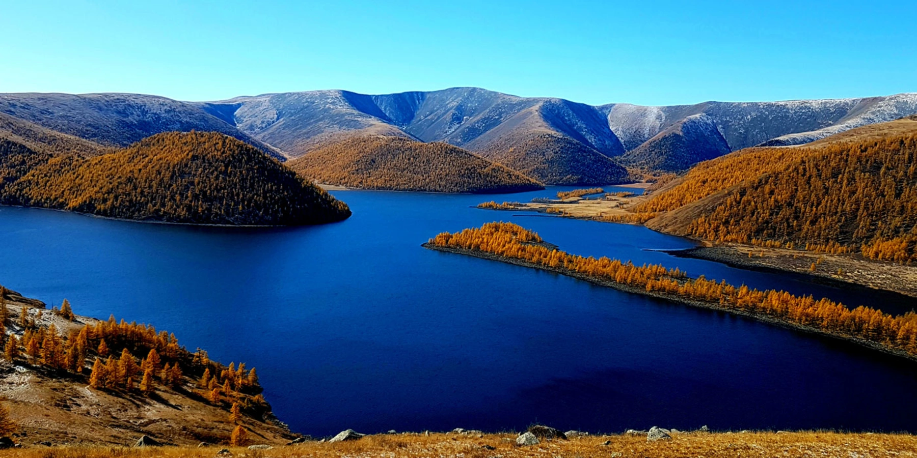 Khuisiin Naiman, Mongolie