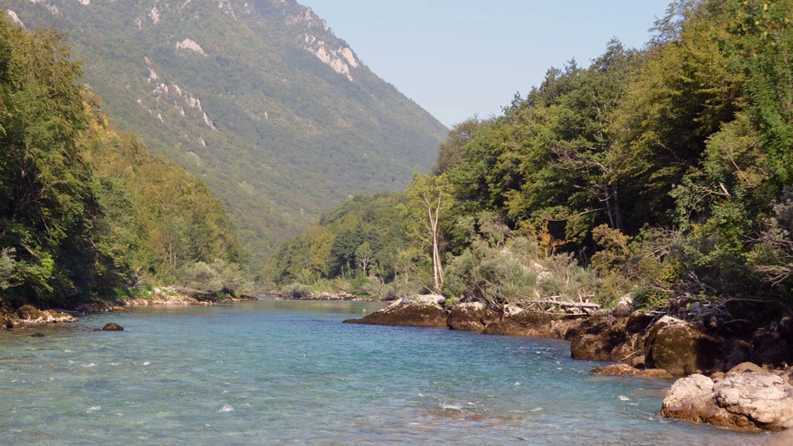 Tara, Monténégro, Serbie