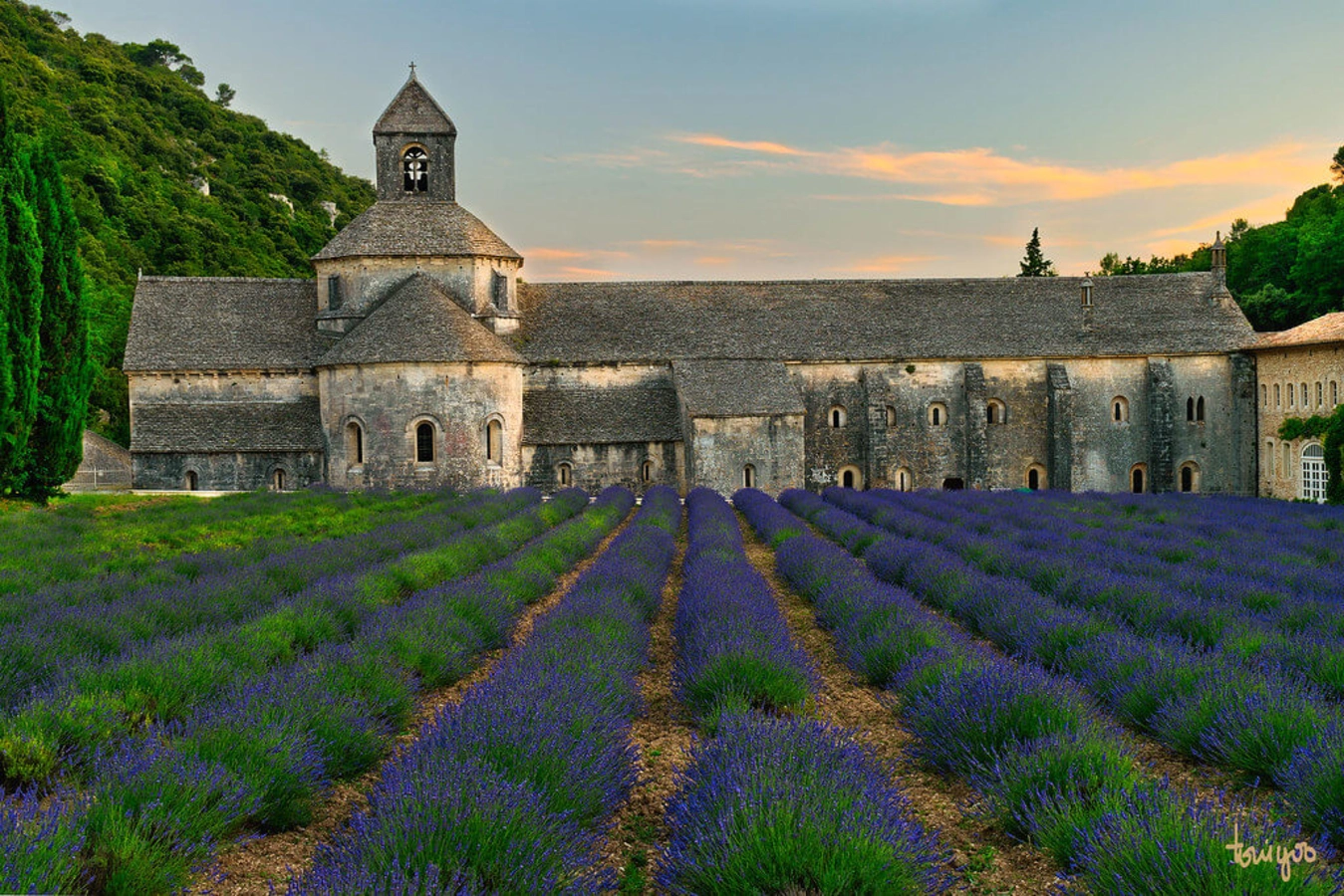 Abbaye Notre-Dame de Sénanque, France
