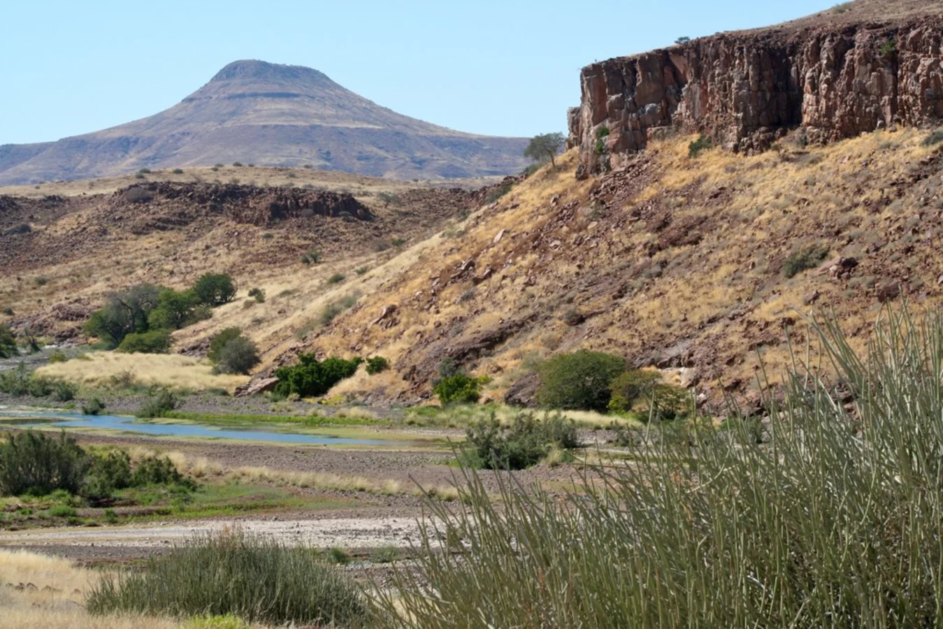 Concession de Palmwag, Namibie
