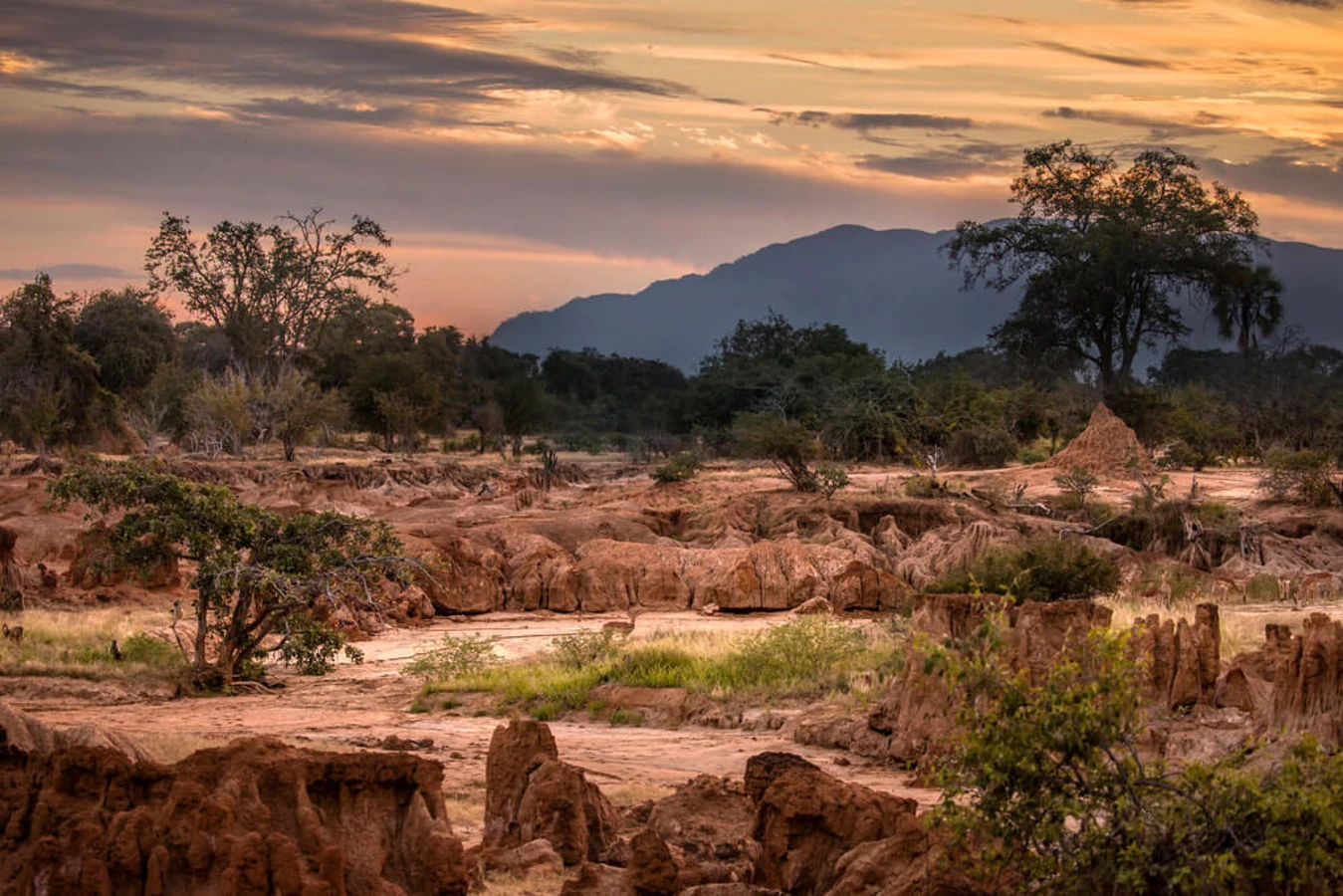 Parc national de Luangwa Sud, Zambie