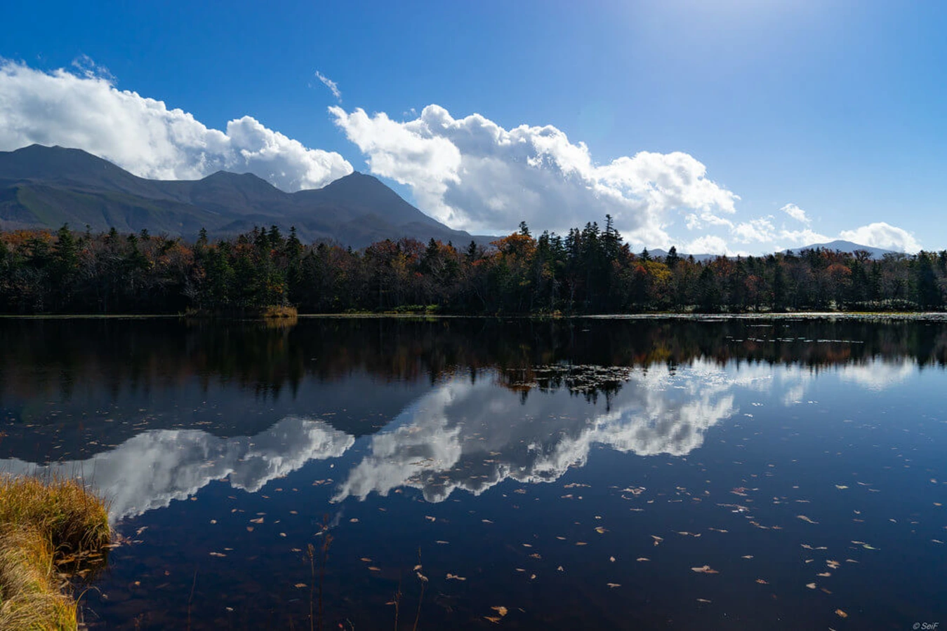 Parc national de Shiretoko, Japon