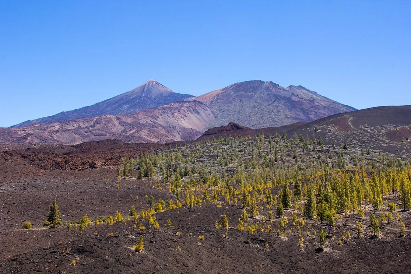 Tenerife, Espagne, Canaries