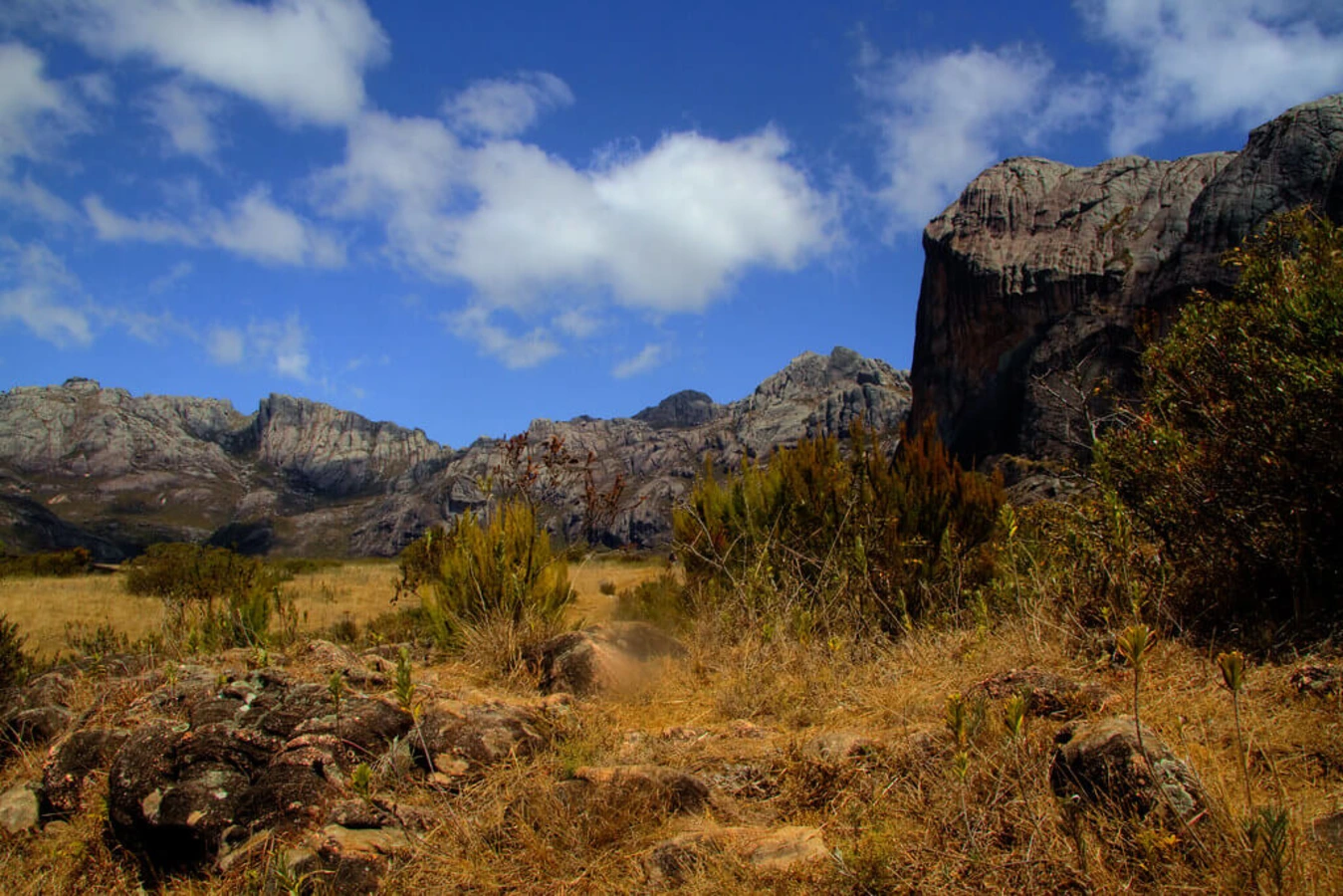 Parc national d'Andringitra, Madagascar