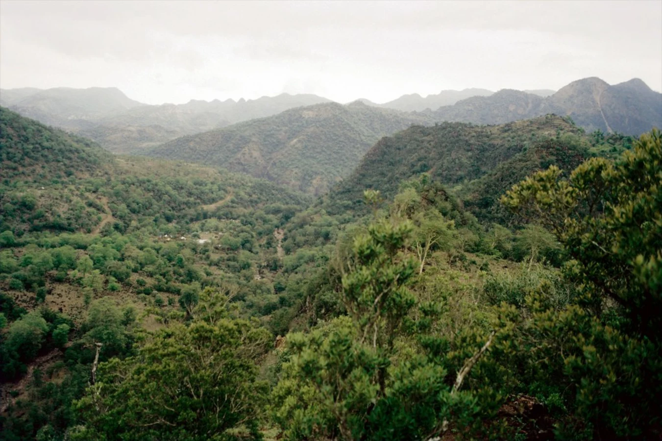 Monts Goda, Djibouti