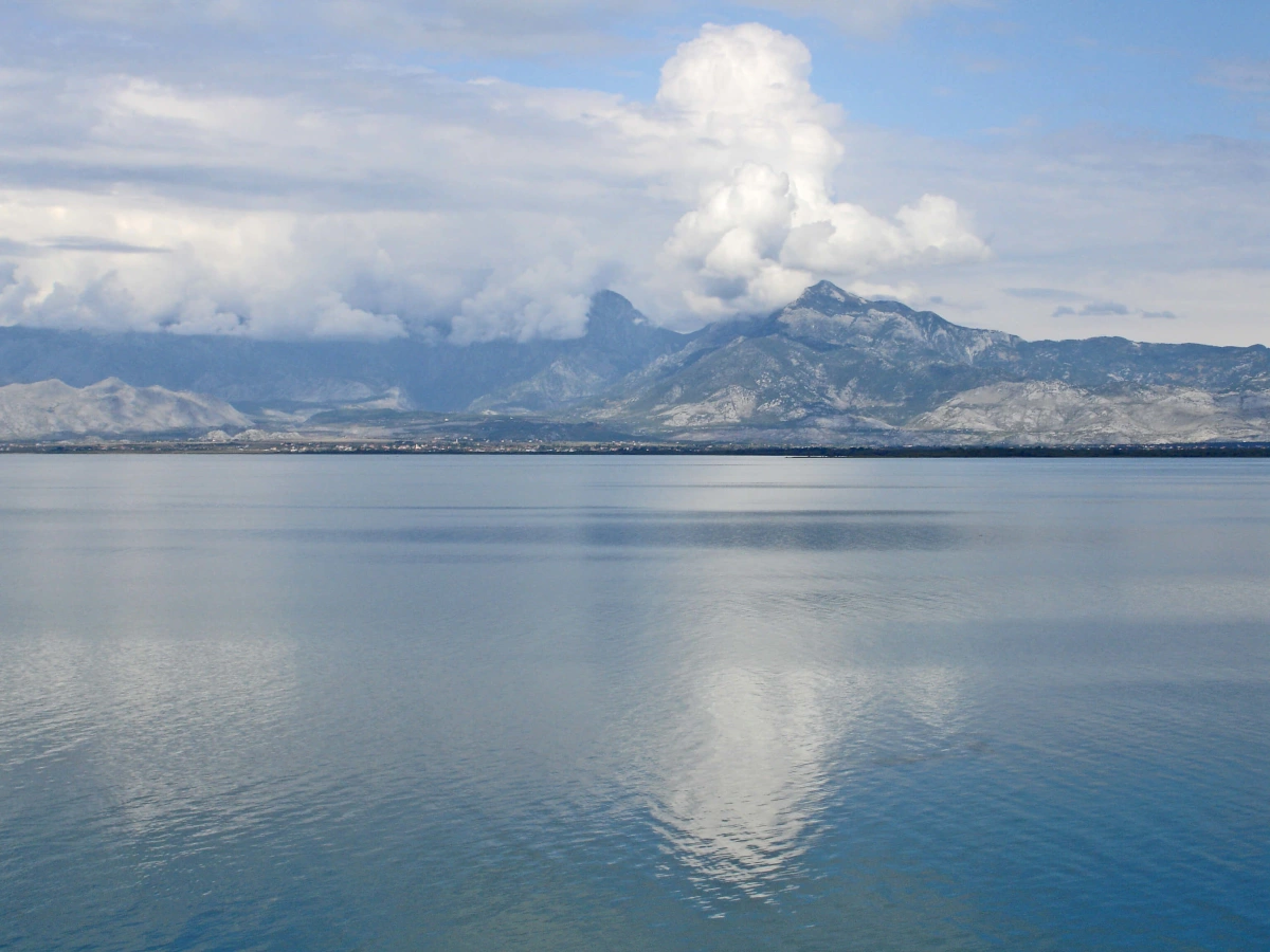 Lac de Skadar, Monténégro, Monténégro, Monténégro, Monténégro, Albanie